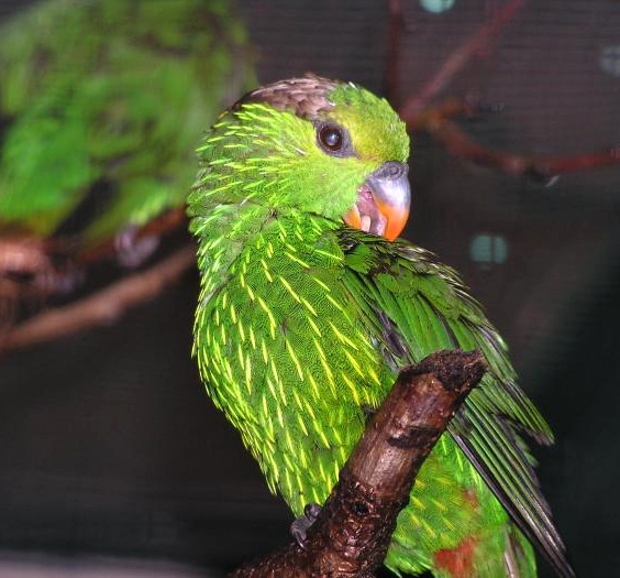 Foto 3
